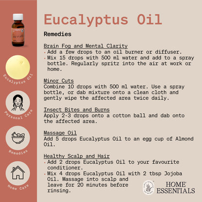 The second page of Eucalyptus Oil Handy Hints which lists the various uses and DIY recipes