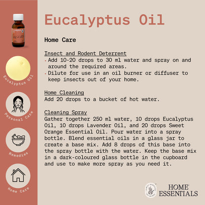 The fourth page of Eucalyptus Oil Handy Hints which lists the various uses and DIY recipes